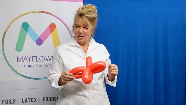 MayflowerParty Balloon Basics Small Loop Collar смотреть онлайн