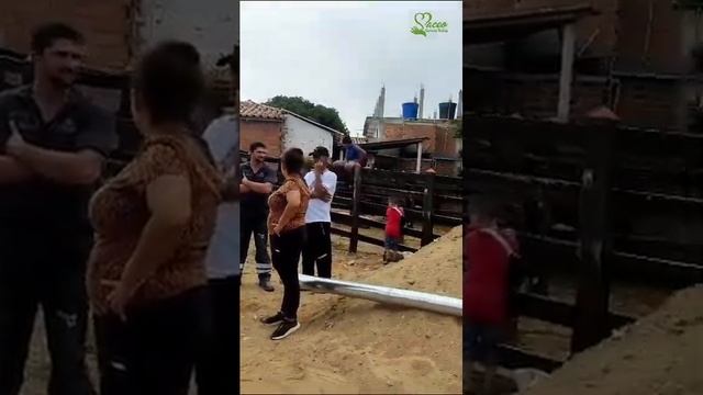 ESTUFAS ECOLÓGICAS Y HUERTOS LEÑEROS смотреть онлайн