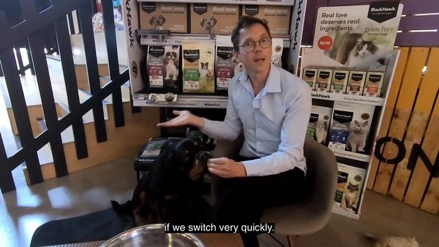 How to transition from one dog food to another? смотреть онлайн