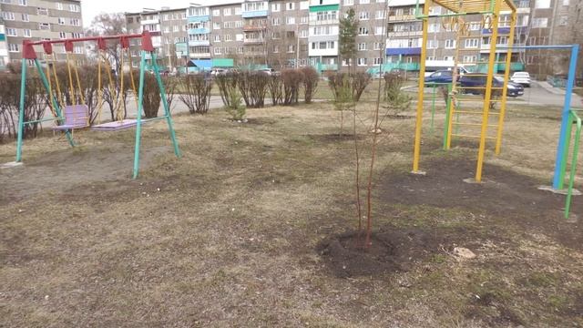Первые новости 24 04 24 смотреть онлайн