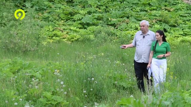 Проблемы с борщевиком смотреть онлайн