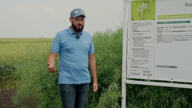 Технологія вирощування озимого ріпаку. Досвід. АгроАрена Дніпро смотреть онлайн