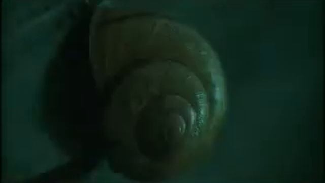 SPIRAL (uzumaki) 1.flv смотреть онлайн
