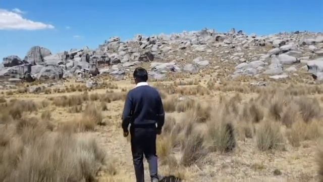 AUQUIWILCA ANTACOLPA смотреть онлайн