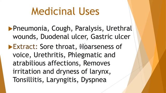 Lecture 4 - Glycyrrhiza glabra смотреть онлайн