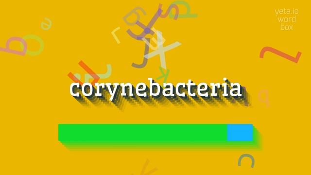 CORYNEBACTERIA - HOW TO PRONOUNCE IT? #corynebacteria смотреть онлайн