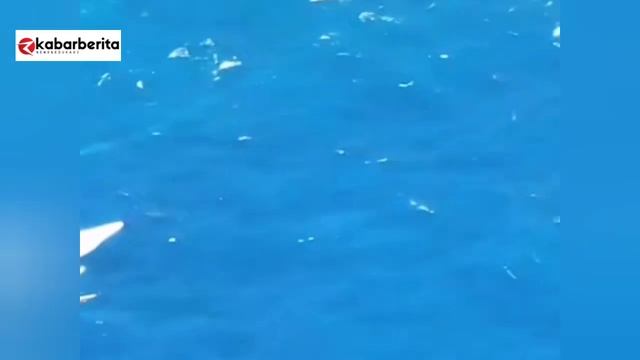 Hari ke - 5 Pencarian Pemancing Dokter Wisnu NIHIL ⁉️ Keluarga Bermalam Di Pinggir Pantai смотреть онлайн