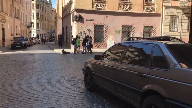 Львов смотреть онлайн