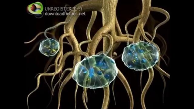 Agri Gel (SAP) смотреть онлайн