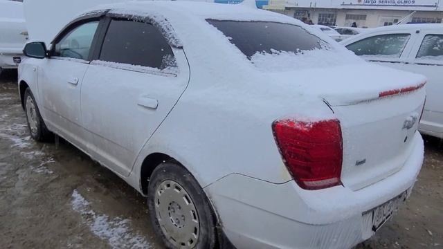 Yangi Hafta Kobalt Narxlari Buxoro Moshin Bozor Арзон Кобалт Нархлари Бухоро МошинБозор бек бухоро