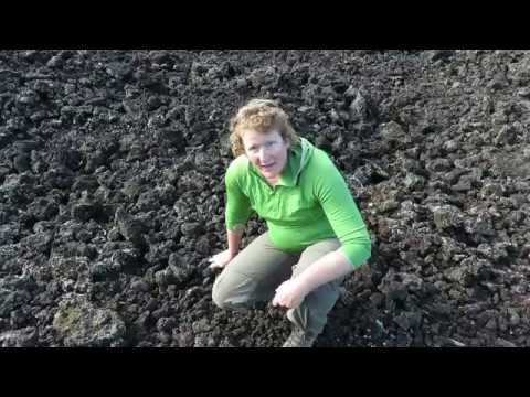 Primary succession on Rangitoto Island смотреть онлайн