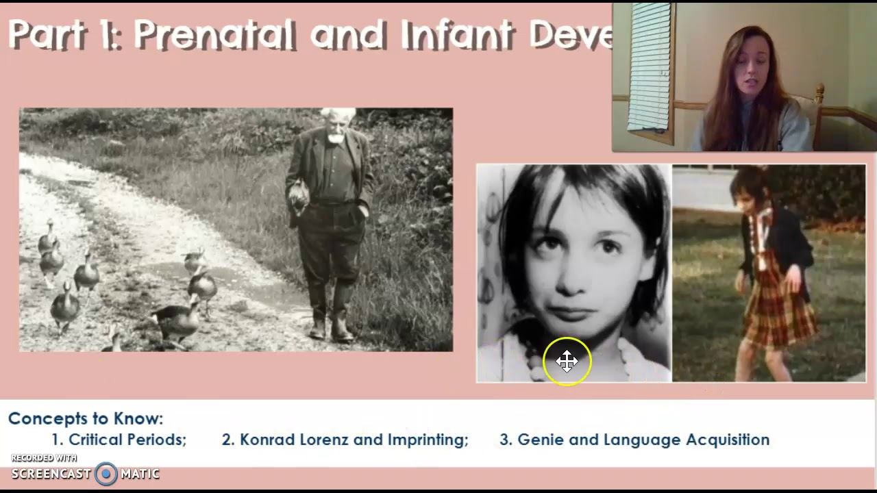 Unit 6: Development - Prenatal and Infant Development смотреть онлайн