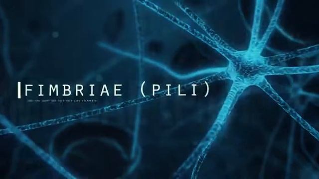 Клетки инфографика смотреть онлайн