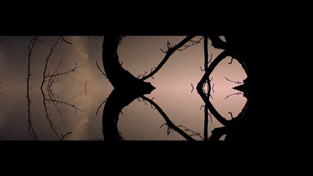 Mirror Mirror | Music Video
