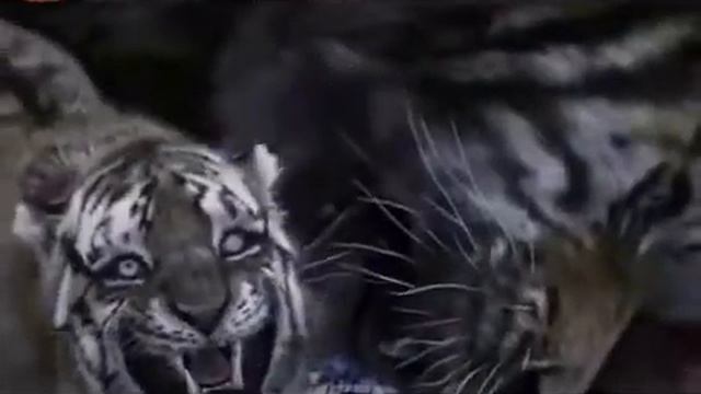 Будьте спокойны смотреть онлайн