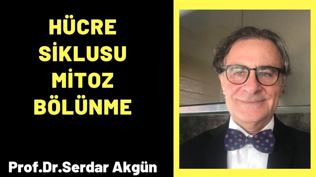 Embriyoloji, Hücre siklusu, mitoz bölünme, SerdarAkgün смотреть онлайн