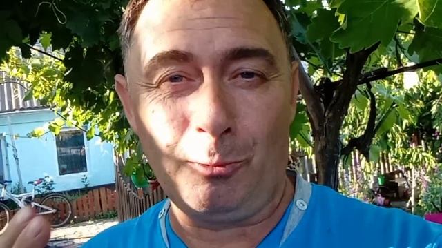 Вирощуємо виноград. смотреть онлайн