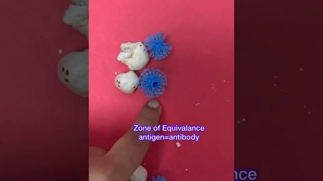 What is Serological or Antigen-Antibody Reaction? смотреть онлайн