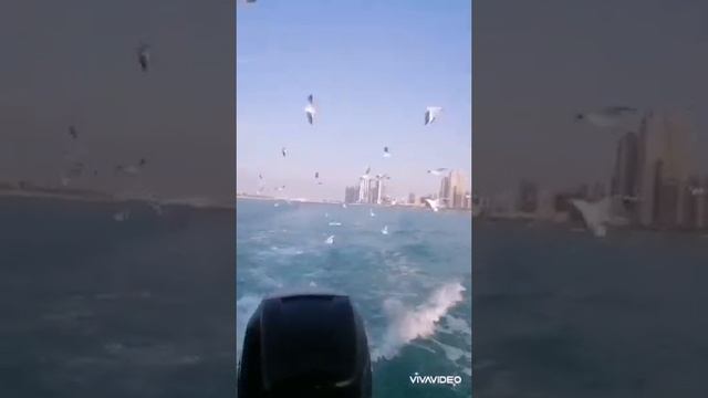 BEAUTIFUL LIFE ACE OF BASE WITH LYRICS смотреть онлайн