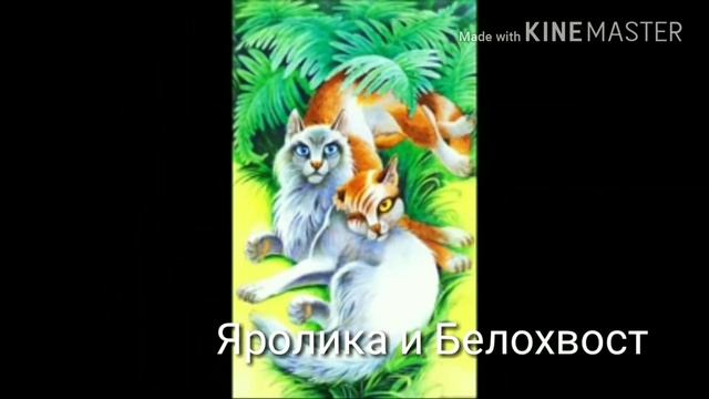 Пары Котов Воителей (1часть)😘😘😘 (что. Описание смотреть онлайн