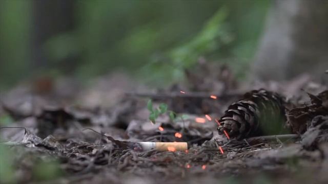 Маленький окурок - большая беда смотреть онлайн