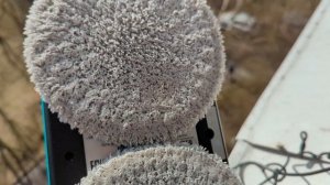 ДаДжет W200. Обзор. Как робот-мойщик окон упрощает жизнь и экономит ваши деньги и время?