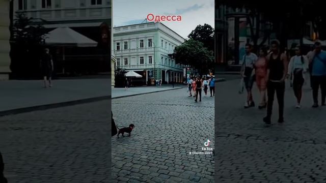 Атмосфера Дерибасовской! смотреть онлайн