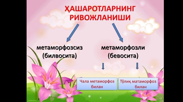 9-синф БИОЛОГИЯ. Тугилгандан кейинги ривожланиш. смотреть онлайн