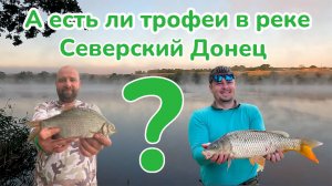 А есть ли трофеи на реке Севрский Донец? / Рыбалка на Фидер / Отдых на реке Северский Донец /