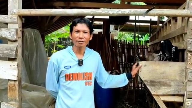 usaha sampingan ternak kambing 30 ekor смотреть онлайн