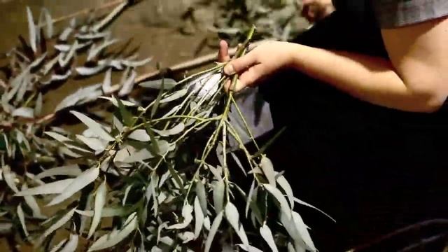 Botanica Naturalis Confetti Fair 2014 HD 720p смотреть онлайн