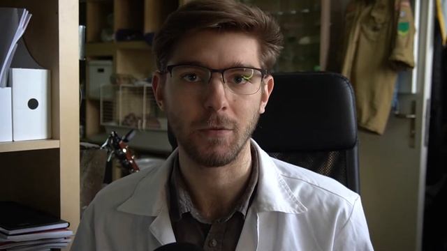 CO JE TO CHEMIE, ATOM A IZOTOP | PPV смотреть онлайн