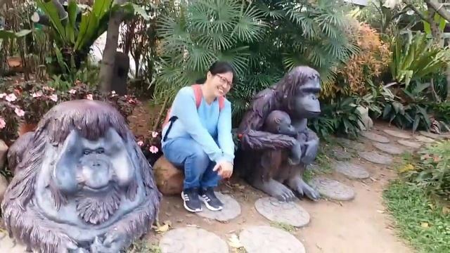 Exploring hongkong zoological and botanical garden смотреть онлайн
