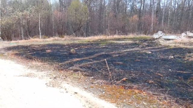 Следы недавнего пожара за "Сигналом": горела сухая трава на площади около 500 кв. м. 19/04/2021 смотреть онлайн