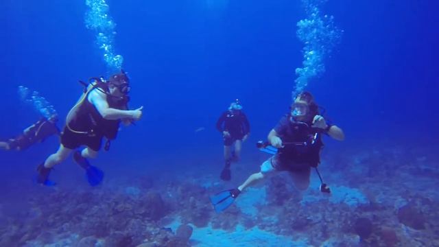 2014 Turks & Caicos Diving Day 2 смотреть онлайн