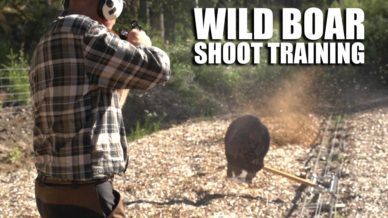 Wild Boar Shoot Training смотреть онлайн