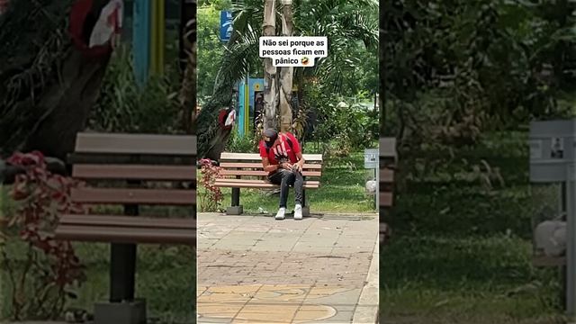 Корпорация Юмора - Клип Корпорация Юмора смотреть онлайн