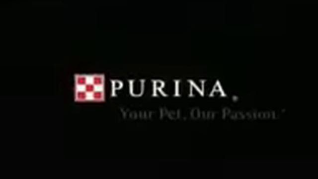 Purina Logo In High Pitch смотреть онлайн
