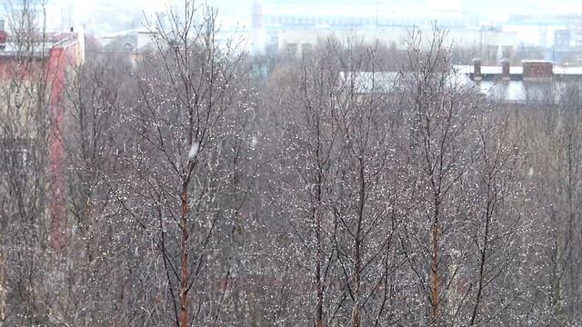 Ковдор 5 июня 2017 г. Вот и лето пришло-3! смотреть онлайн