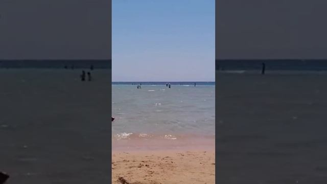 Неизвестный Египет. Сафага пляж. Канал Тутси - диеты и путешествия. @tutsi-dieti смотреть онлайн