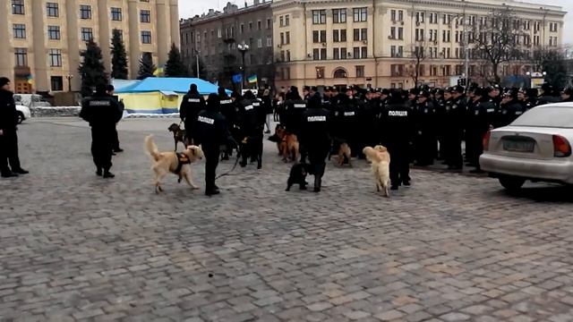 Репетиция полиции на пл.Свободы в Харькове смотреть онлайн