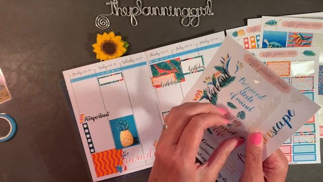 Plan With Me | B6 TN | NEW Tropics Kit from @CoffeePlannerMom смотреть онлайн