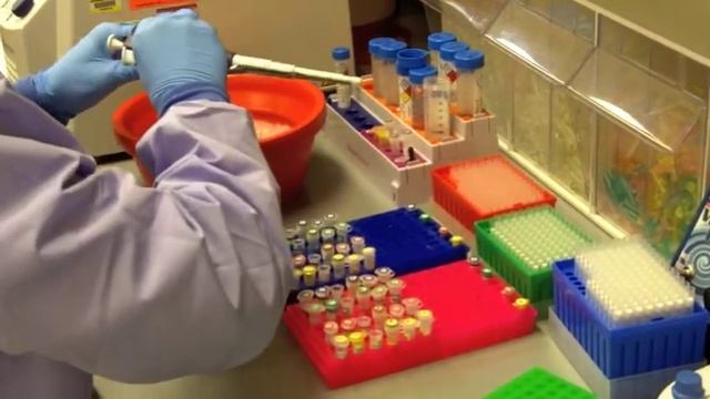 The Cancer Genome Atlas Project at Nationwide Children's смотреть онлайн