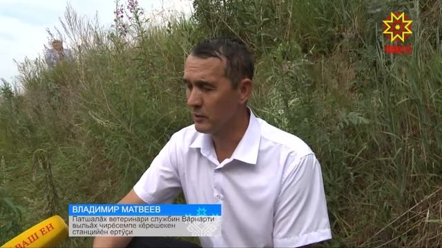 Тилĕсене урнă чиртен вакцина хурса параççĕ смотреть онлайн