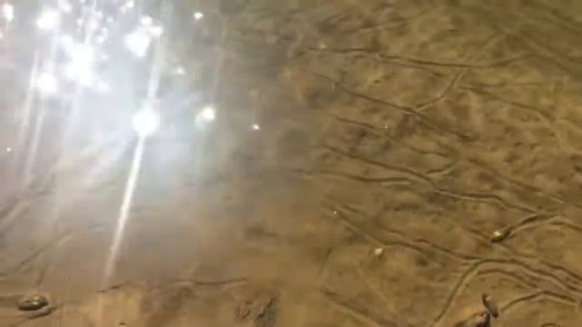 Улиточьи дороги под водой смотреть онлайн