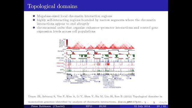 The Human Phenotype Ontology: Algorithms and Applications смотреть онлайн
