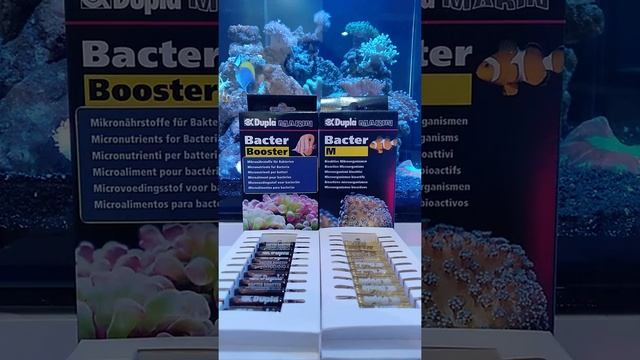 Javareef2 Dupla marine bacter m dan Dupla marine bacter booster смотреть онлайн