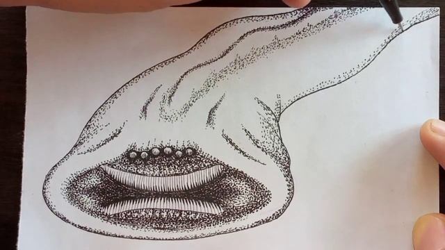 Drawing El Gran Maja using Fine-liner/Micron Pen stippling method смотреть онлайн
