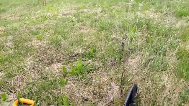 Весенний трёх дневный коп.... смотреть онлайн