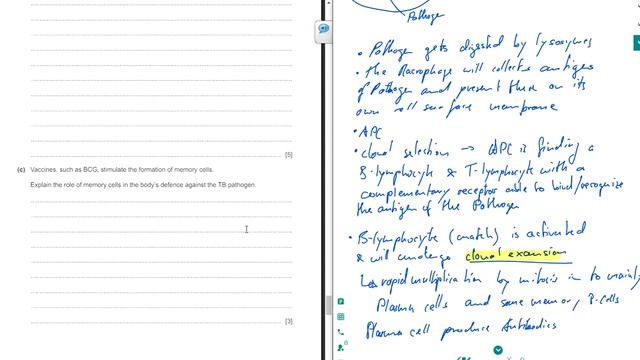 Cambridge AS Level Biology Structured Questions | Paper 2 (May/June 2020) Video 4 смотреть онлайн